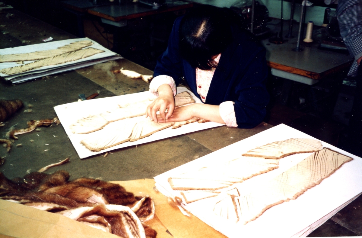 Frå ein pelsfabrikk i Kina. Motivet viser korleis skinn blir skore i bitar for så å bli sydd sammen igjen til klesplagg.