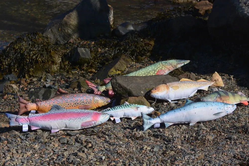 Bildet viser mange ulike fisk, men disse er av tøy og du finner de i butikken