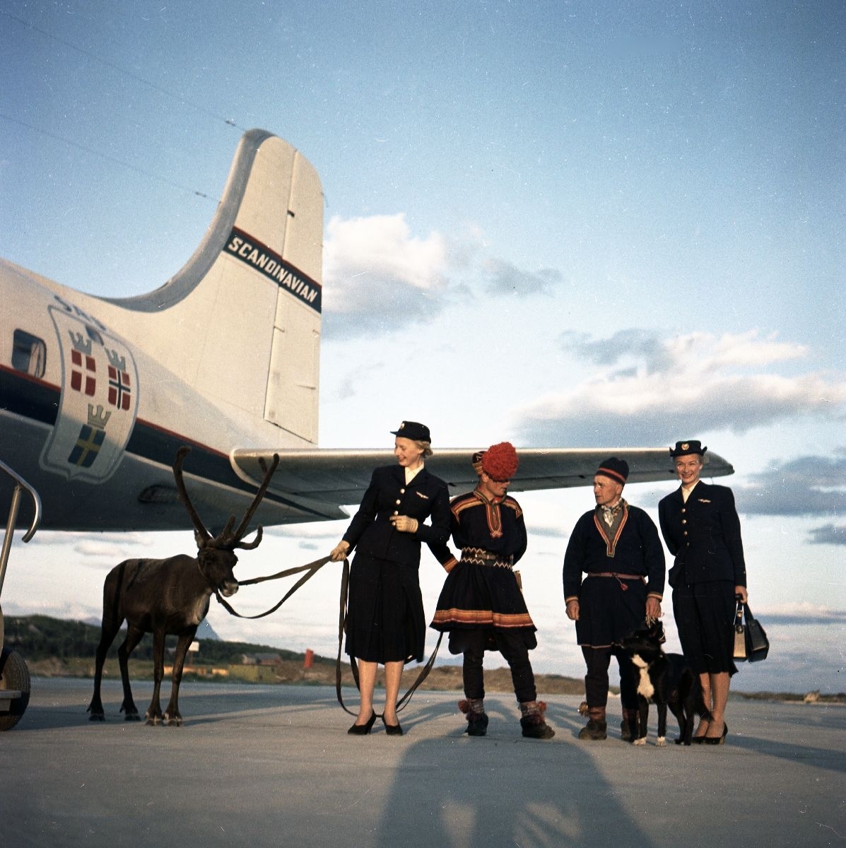 Karl og Kalle Karlstad med hunden Dilko og et reinstyr står oppstilt sammen med to flyvertinner foran SAS' DC-6 "Agne Viking".
