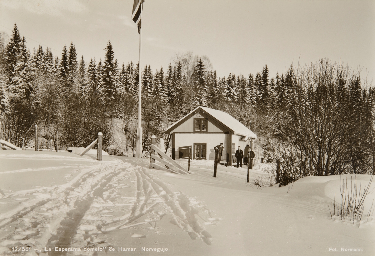 Postkort, Ringsaker, Furnesåsen, hytte, vinter, "La Esperanta dometo", Hamar, 3 gutter foran huset,