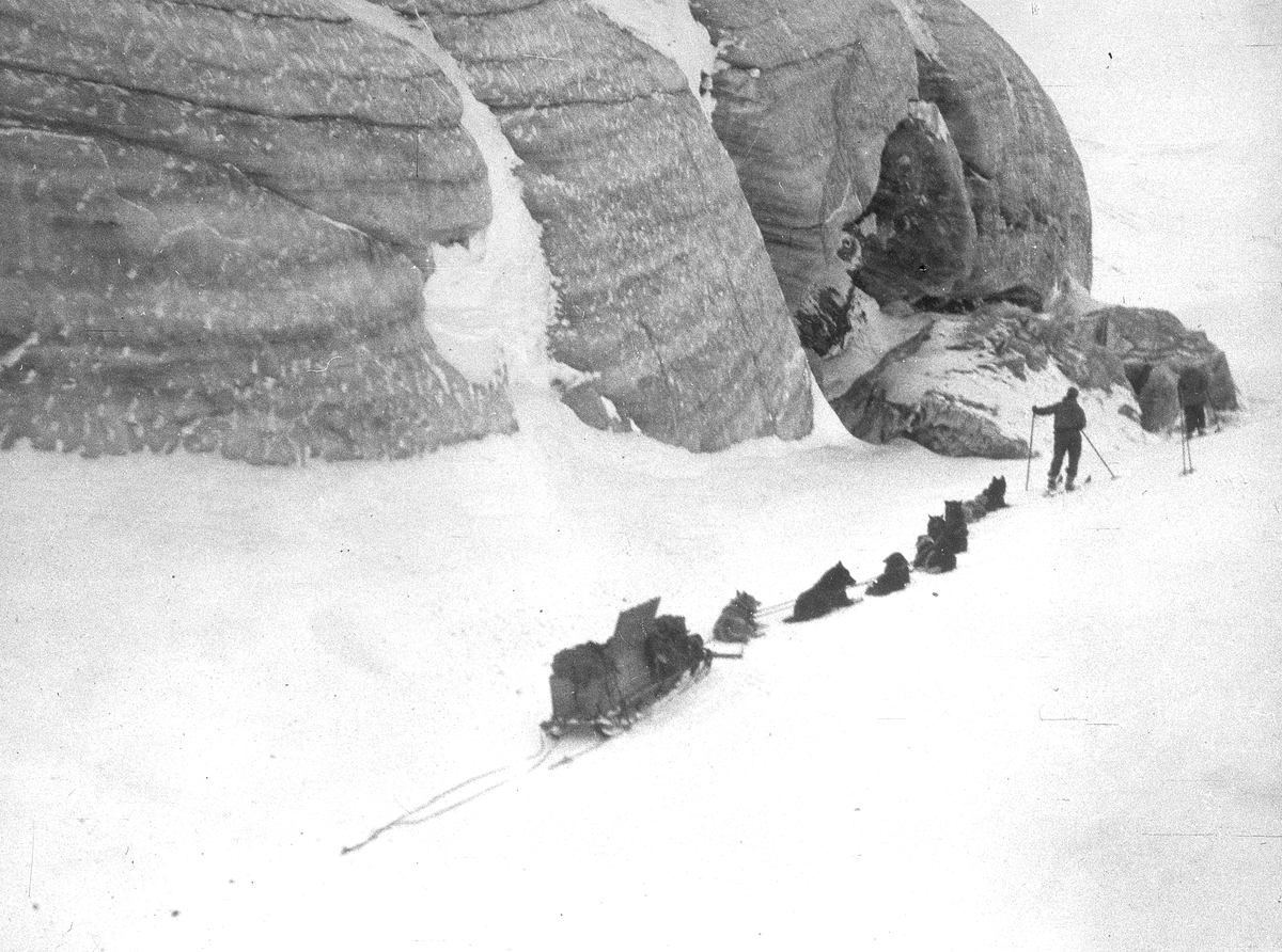 Tekst med bildet: 1936 Hundespann og isbre Todalen. 