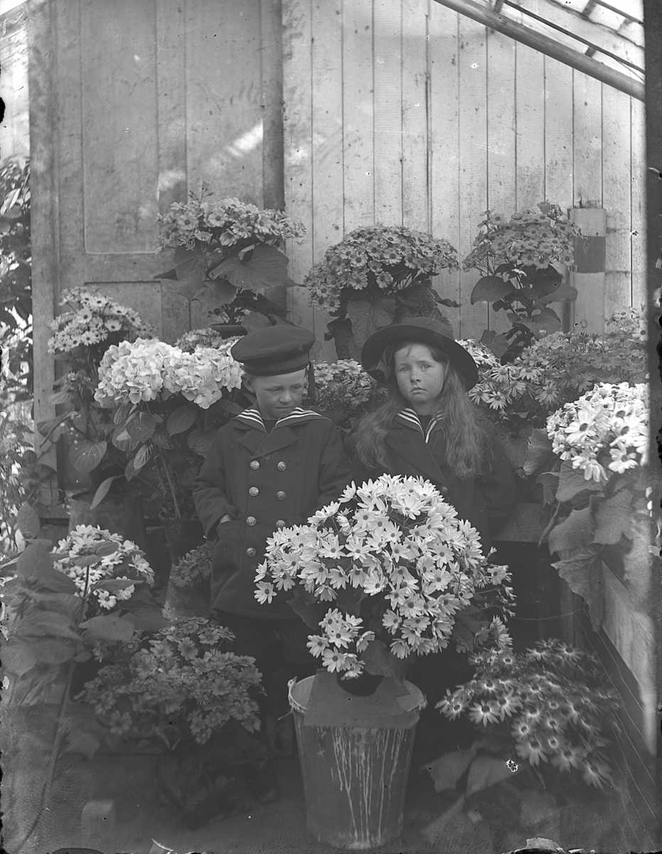 Västerås.
Två barn, flicka och pojke klädda i sjömansdräkter i blomhavet i ett växthus vid Solberga trädgård.