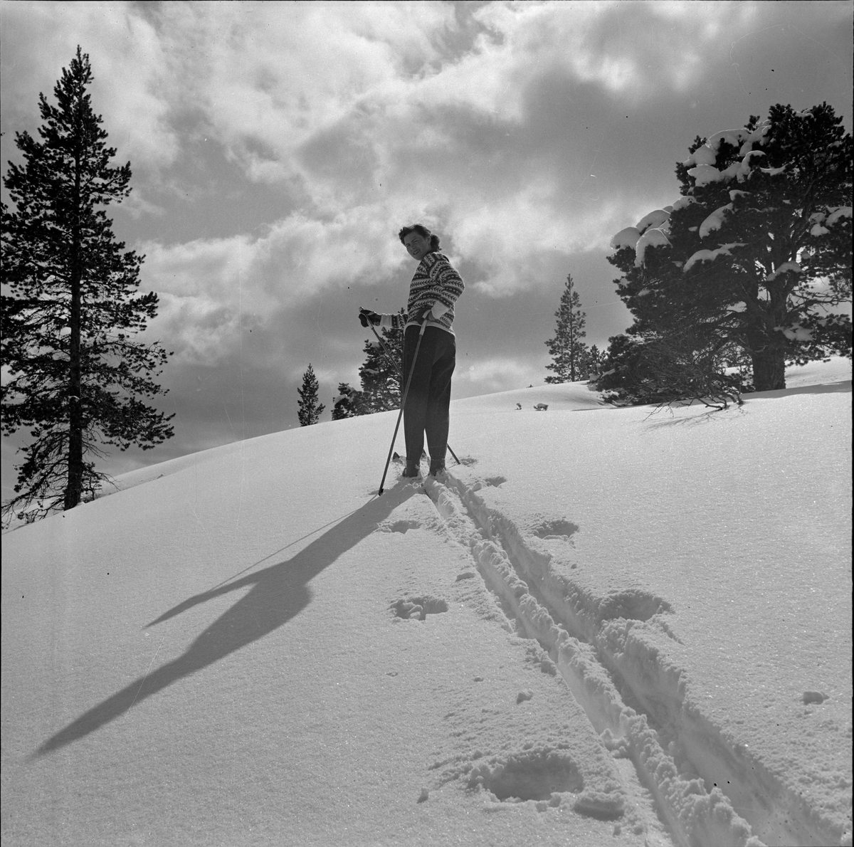 Kvinne på skitur i et snødekt landskap med snø på trærne.