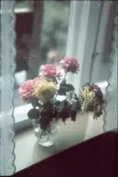 Blomsterbuketter i en vinduskarm. Trolig blomster gitt i gav