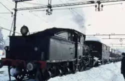 Damplokomotiv type 21b nr. 225 med godstog på Kongsberg stas