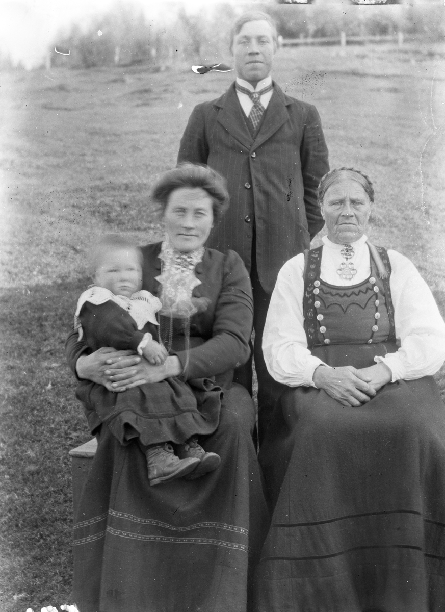 Bilde viser Birgit og Kristen Øyaland Nordre. De to andre kan også være Birgit og Birgit, som da var mor og datter av Kristen.

Fotosamling etter Øystein O. Jonsjords (1895-1968), Tinn.