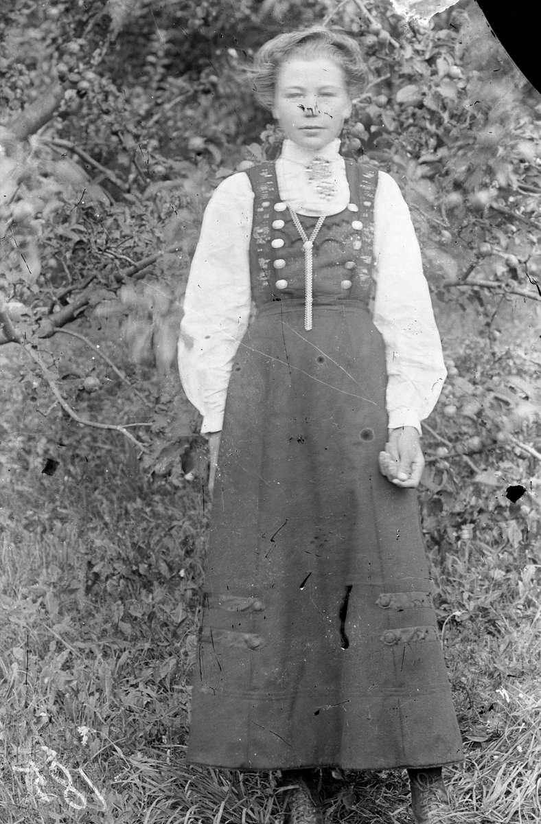 Bilde viser portrett av ung kvinne i Tinndrakt

Fotosamling etter Øystein O. Jonsjords (1895-1968), Tinn.