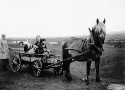 Gruppebilde
Frå  Kamben 1939
Hest, vogn, kappe, skaut.