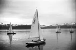 "Rundt jonsok 1968" .Trolig fra en holme rett utenfor Hjertø