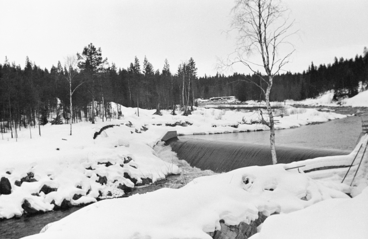 Kraftverksdammen ved Kvernfallet i elva Søndre Osa i Åmot kommune i Hedmark, fotografert i mars 1939, på et tidspunkt da det fortsatt lå snø på marka, men elveløpet var isfritt. Kverfalldammen var en armert betongdam med et avrundet overløp som vannet og - etter hvert - fløtingsviket skulle flyte over. Dette bildet ble imidlertid tatt lenge før fløtingssesongen startet. Dammen var bygd mot ei skrå bergflate som tvang vannstrømmen fra nedfallssona sørover før elveløpet igjen dreier mot vest.  På elvebredden i bakgrunnen, sentralt i bildeflata, ser vi et par plogformete vedreis.