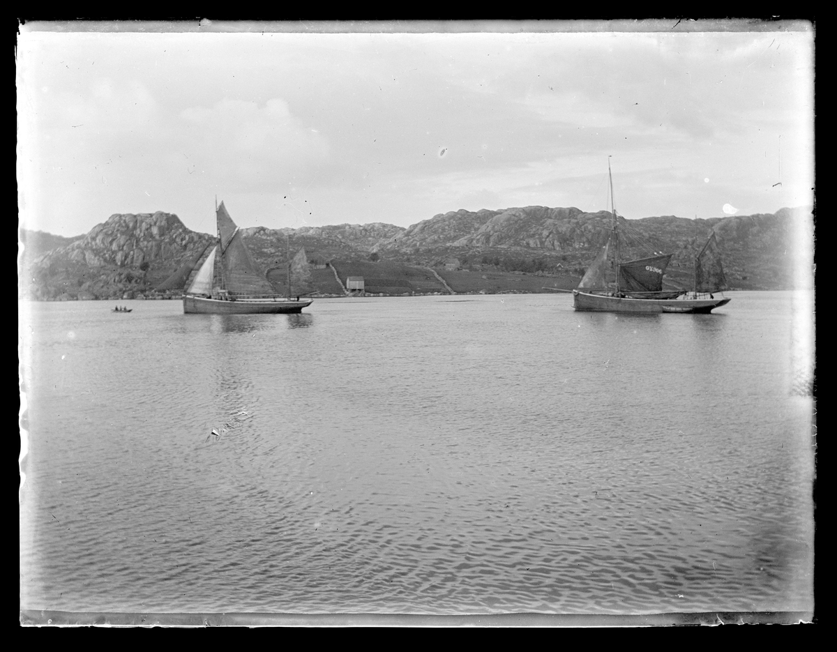 To seilskuter i en fjord