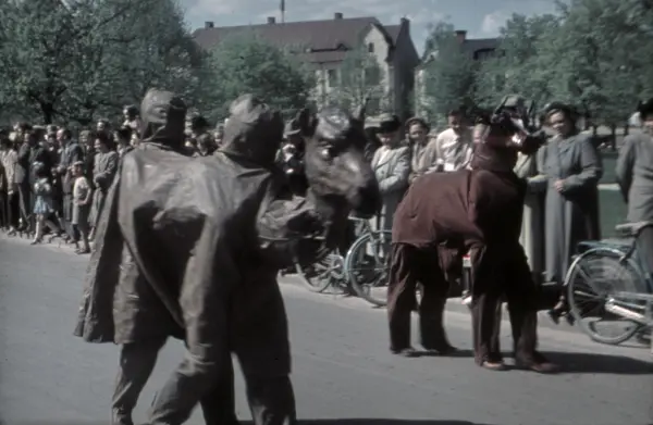 Kamel Och Häst På Barnens Dag, 1950-tal - Örebro Stadsarkiv ...