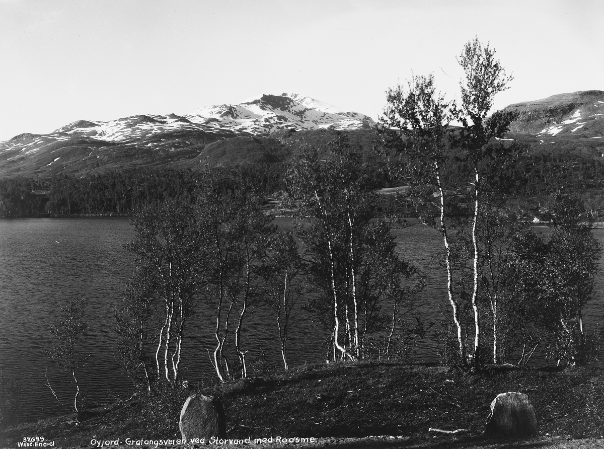 Prot: Nordland - Narvik, Gratangsveien, Reisevand