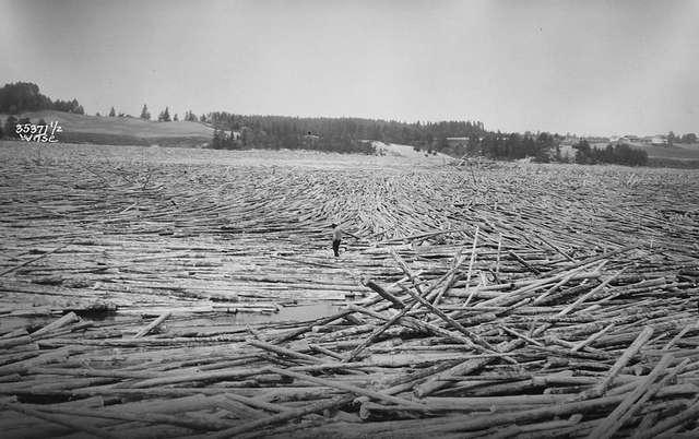 Prot: Tømmerfløtning, Glomma ved Sørumsand
