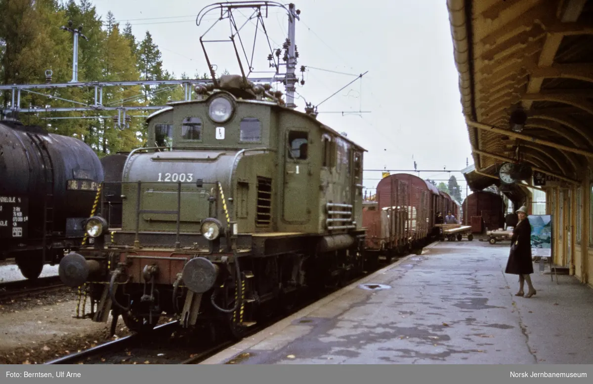 Elektrisk Lokomotiv El 1 2003 Med Godstog På Vikersund Stasjon Norsk Jernbanemuseum 