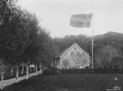 Prot: Sandefjord - Richard Olsens hjem Juni 1902