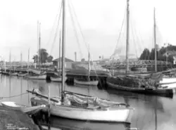 Prot: Tønsberg - Kanalen Mai 1902