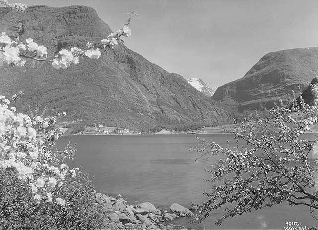 Prot: Skjolden Lysterfjorden