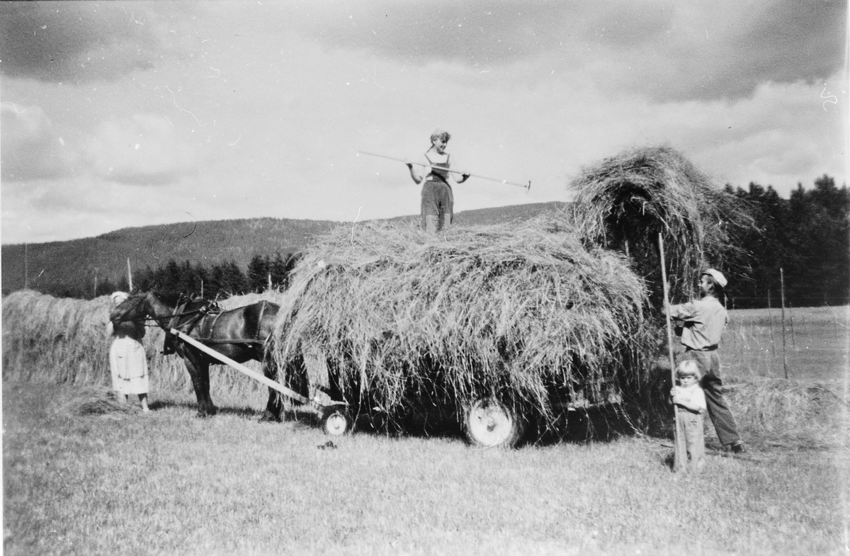 Høykjøring på Langerud, 1954. Mathilde Skatvedt ved hesten, Anne Karine Hoffart (f. Velstad, Webjørn og Britt Skatvedt.