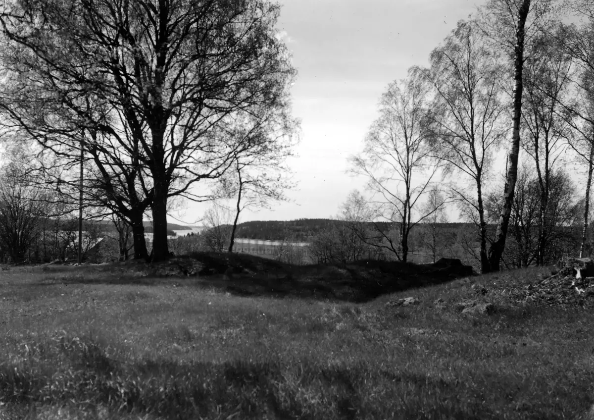 Nr 106. S delen av gravfält vid Fornkullen. Foto från NNÖ.