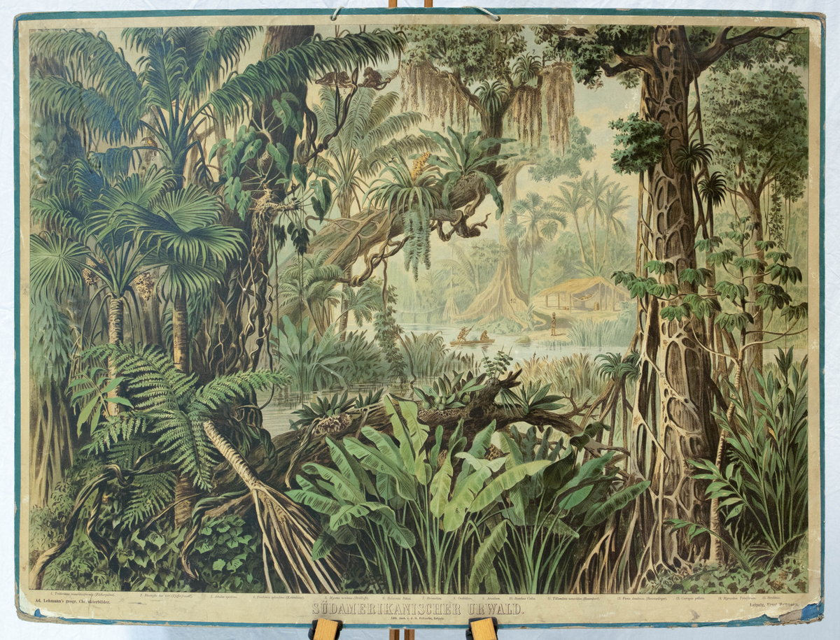 En tropisk skog med en landsby i midten langs et vann.