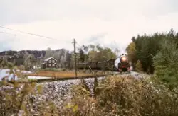Damplokomotiv 26c nr. 411 med veterantog ved Trevatn holdepl