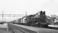 Damplokomotiv type 26a nr. 215 med persontog fra Oslo Ø til 
