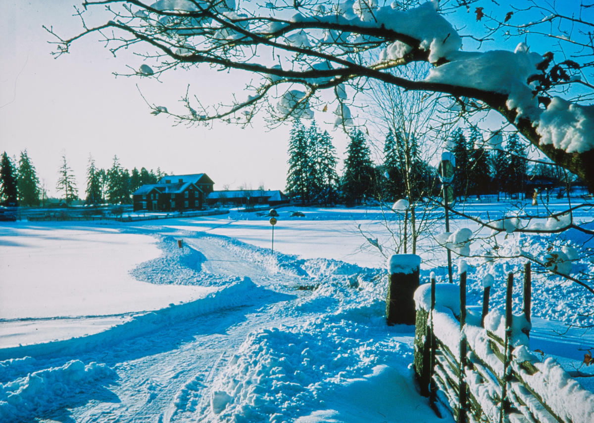 Vallaområdet i Linköping. På andra sidan av det vintriga grönområdet ser man Mjellerumsgården. Närmast fotografen ser man en gärdesgård.
Vinter. 
Snölandskap. Bilder från staden Linköping digitaliserade från diapositiv. Bilderna är från 1970-1990-talet.