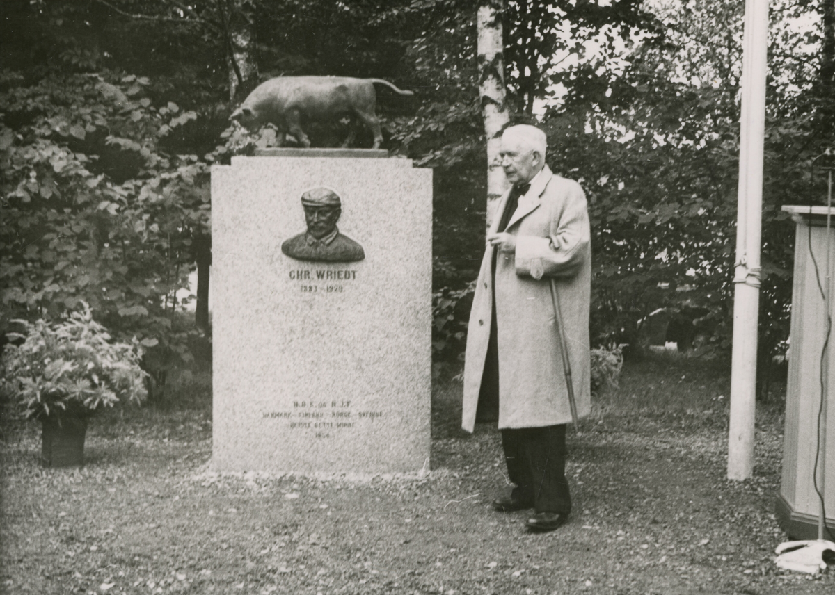 Avdukinga av Wriedt-monumentet ved Norges Landbrukshøgskule 6.9.1954.