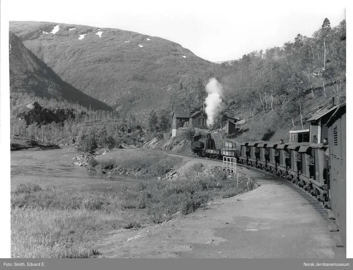 Sulitjelmabanens damplokomotiv "SULITELMA" med kistog ved Sjønstådalen