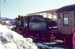 Damplokomotiv 21e nr. 207 med ekstra persontog (påsketog) fr