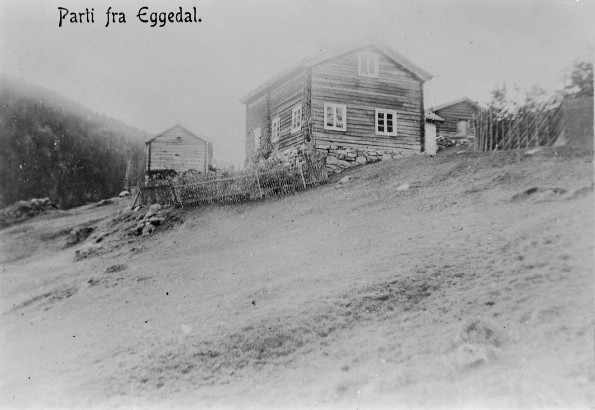 "Parti fra Eggedal", med ukjent gård. Postkortmotiv fra ca. 1908. 