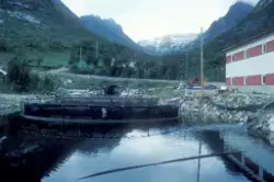 Tromsø 1985 : Oppdrettsmerder avbildet i fjærekanten