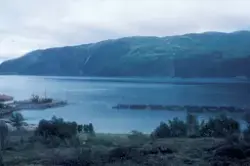 Tromsø 1985 : Prospektbilde, oppdrettsanlegg og kystnatur