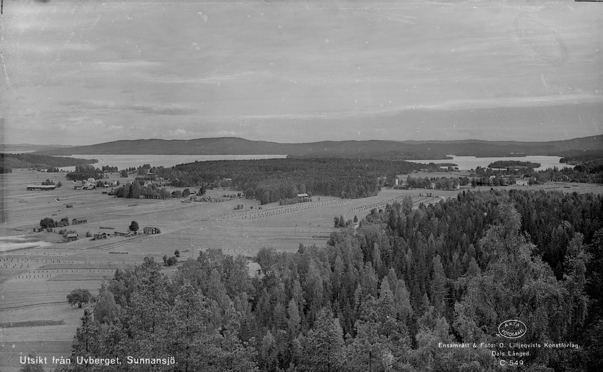 Utsikt från Uvberget, Sunnansjö, Ludvika. - Dalarnas museum ...