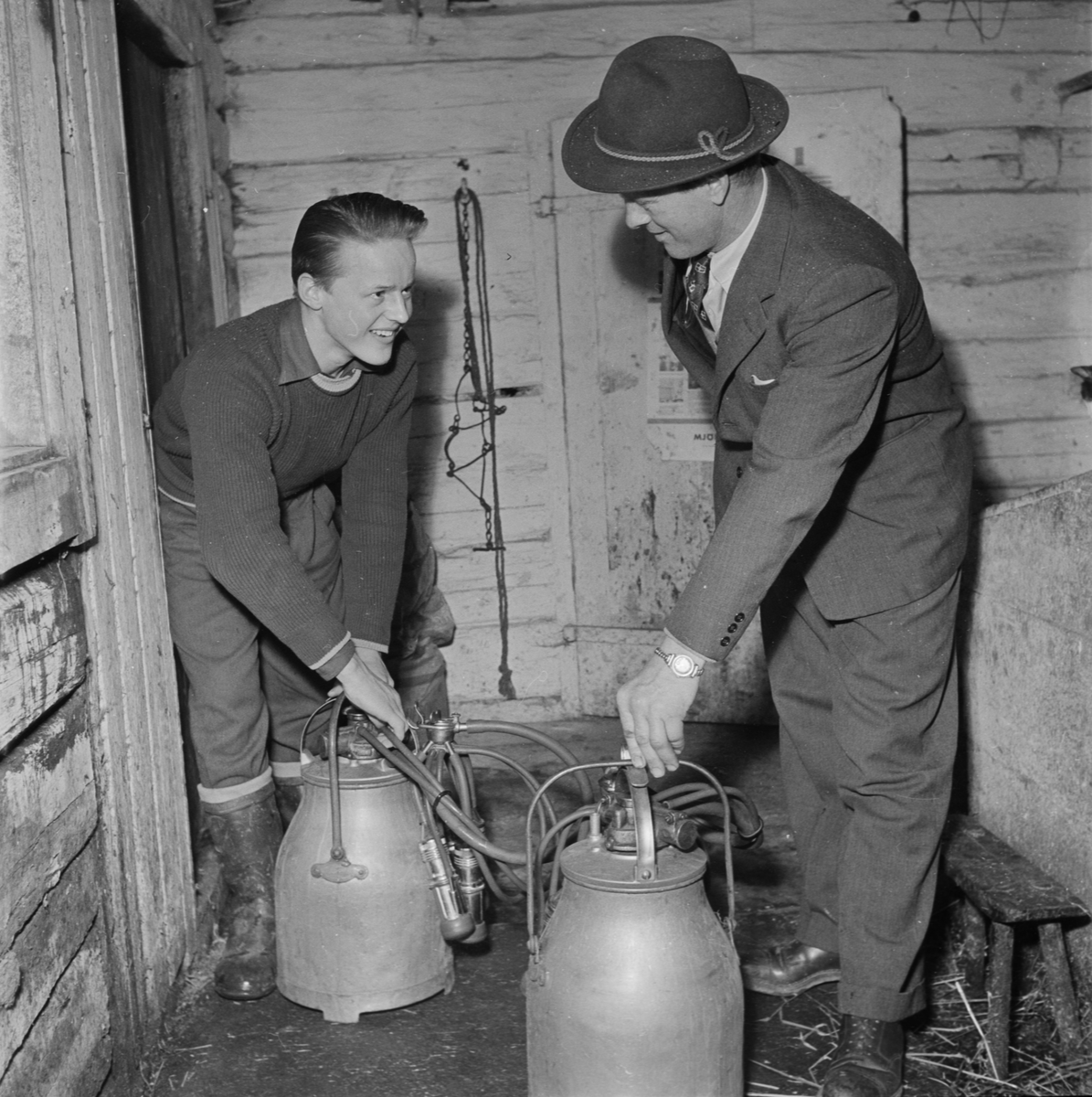 I ladugården, Östhammar 1954 - Upplandsmuseet / DigitaltMuseum