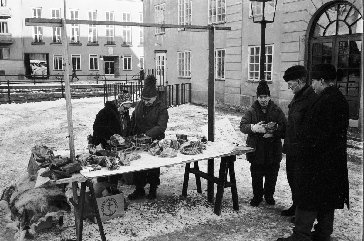 Distingsmarknad, försäljning av renkött och renskinn, Uppsala februari 1965