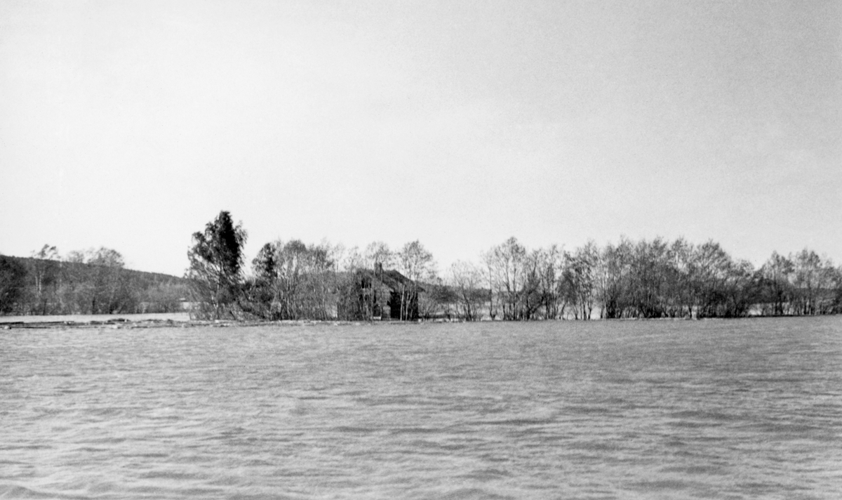 Fra flommen i 1934. Dette fotografiet oppgis å være tatt i Sør-Odal, men vi vet foreløpig ikke nøyaktig hvor. I forgrunnen ser vi ei flate – antakelig et jorde – som var oversvømt av vann. I ytterkant av dette arealet var det et belte med trær, i hovedsak lauvtrær, muligens på noe som vanligvis var en elvebrink. Mellom trærne sto det et hus, tilsynelatende et våningshus, som kan se ut til å ha vært fraflyttet.