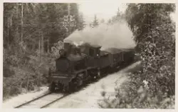 Damplokomotiv type 21b/c med godstog