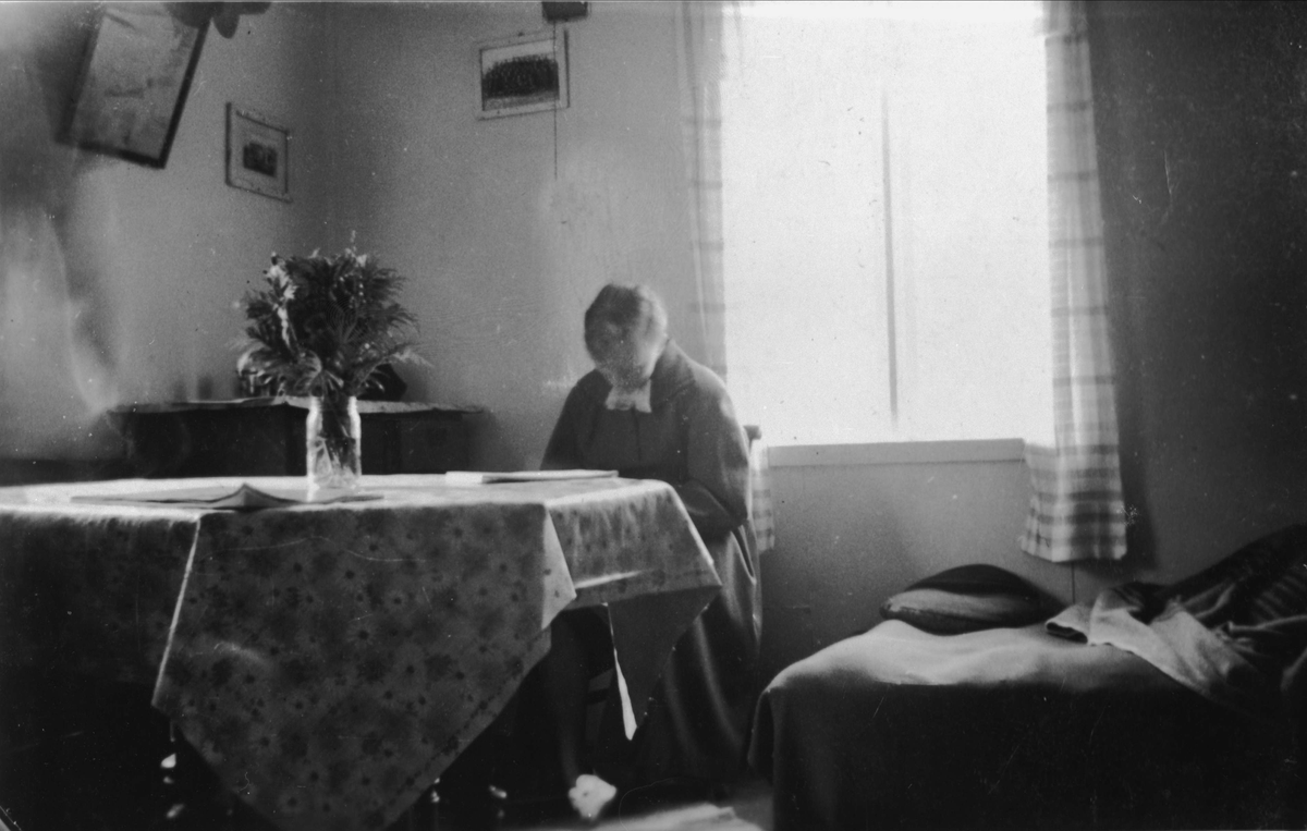 En kvinne sitter og leser ved et spisebord i stuen hos Henrik Henriksen i Skånland.