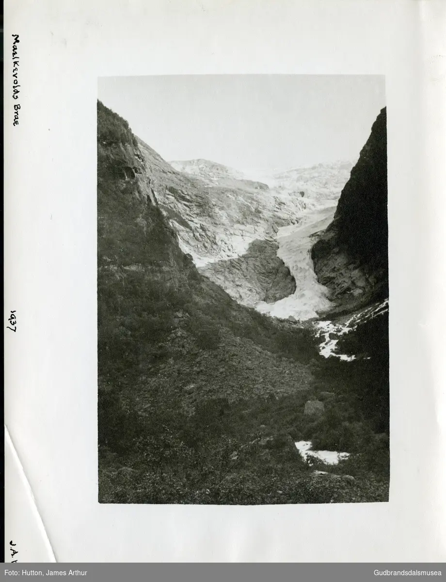 Melkevollsbreen i 1937