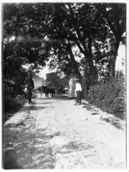Ved Breili i Nordlia, Østre Toten, ca. 1907. Personer står p