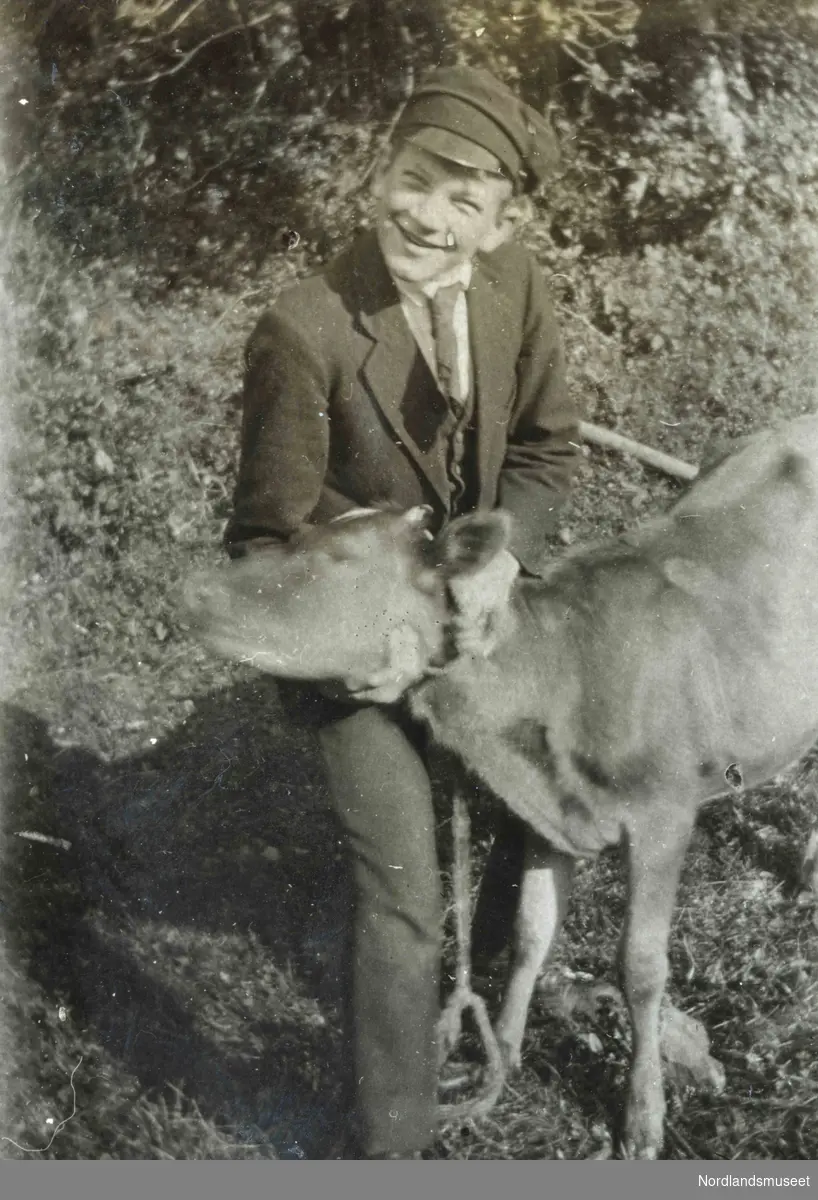 En gutt med dress og skyggelue klapper en kalv.