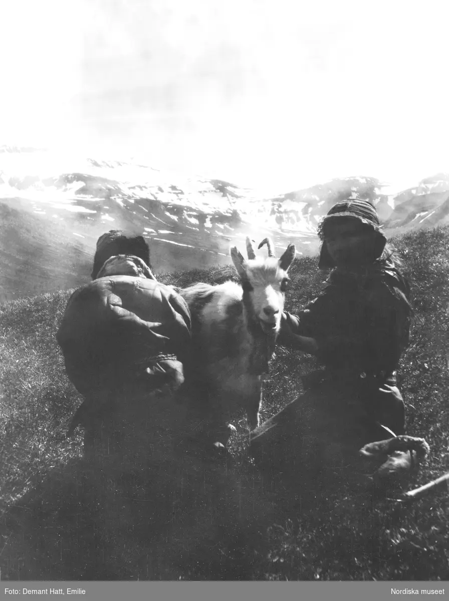 En ung man håller en get medan den mjölkas av en annan person. I bakgrunden fjäll.  Bilden ingår i en serie fotografier tagna av Emilie Demant Hatt i Sapmi mellan åren 1907 och 1916.