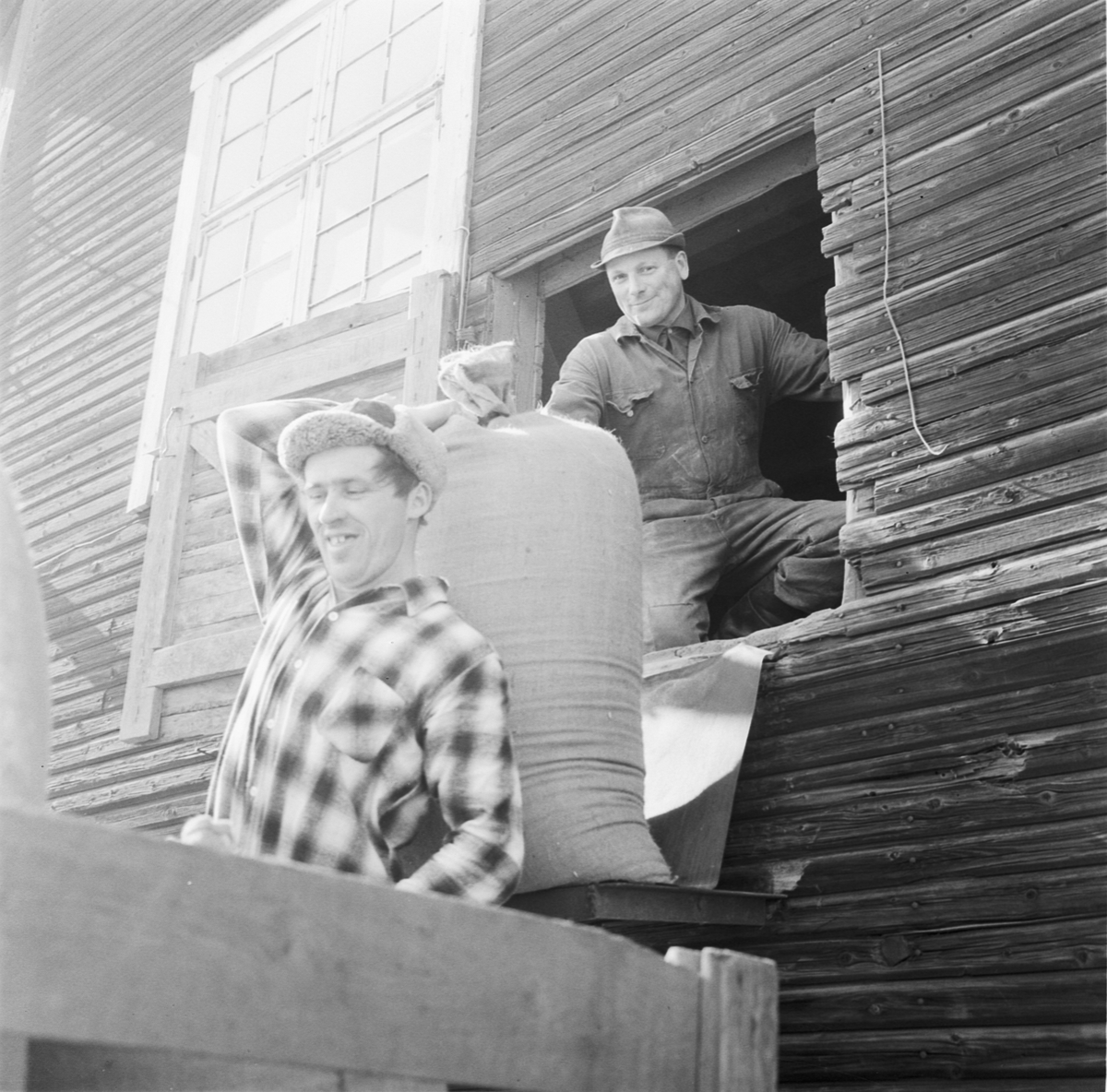 Grovfoderbrist i Uppland 1970