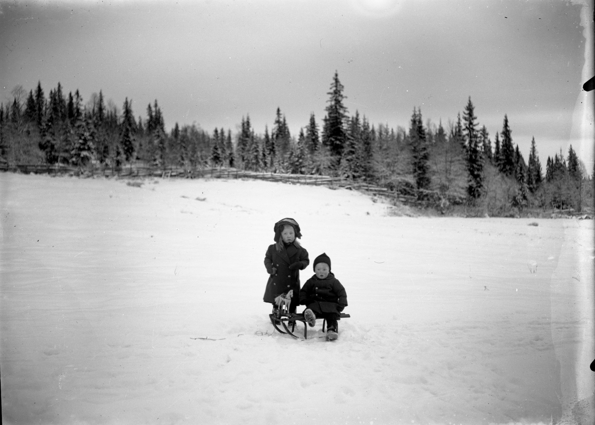 Vintermotiv med barn på kjelke.

Fotosamling etter fotograf og skogsarbeider Ole Romsdalen (f. 23.02.1893).