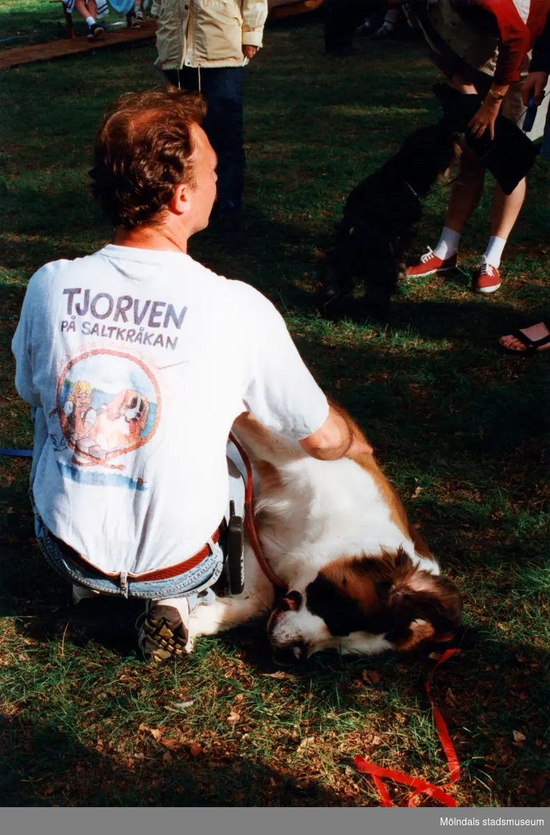 Sommarspelen/barnteaterföreställningen "Tjorven på Saltkråkan" 1996 vid Byxorna i Gunneboskogen. Janne Sandberg kliar en stor hund som ligger på gräset och njuter. Janne är fotograferad bakifrån. Han har på sig en t-shirt där det står "Tjorven på Saltkråkan". Hunden spelar "Båtsman" i föreställningen. Relaterade motiv: 2024_0525 - 0533.