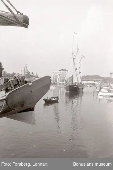 Enligt medföljande text: "Bohusläns museum 1981-1984. Bm:s nybyggnad och invigning".