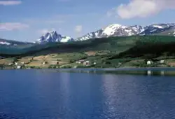 Balsfjord Stamfiskbasseng, Malangen 1974 : Kyststripe med dy