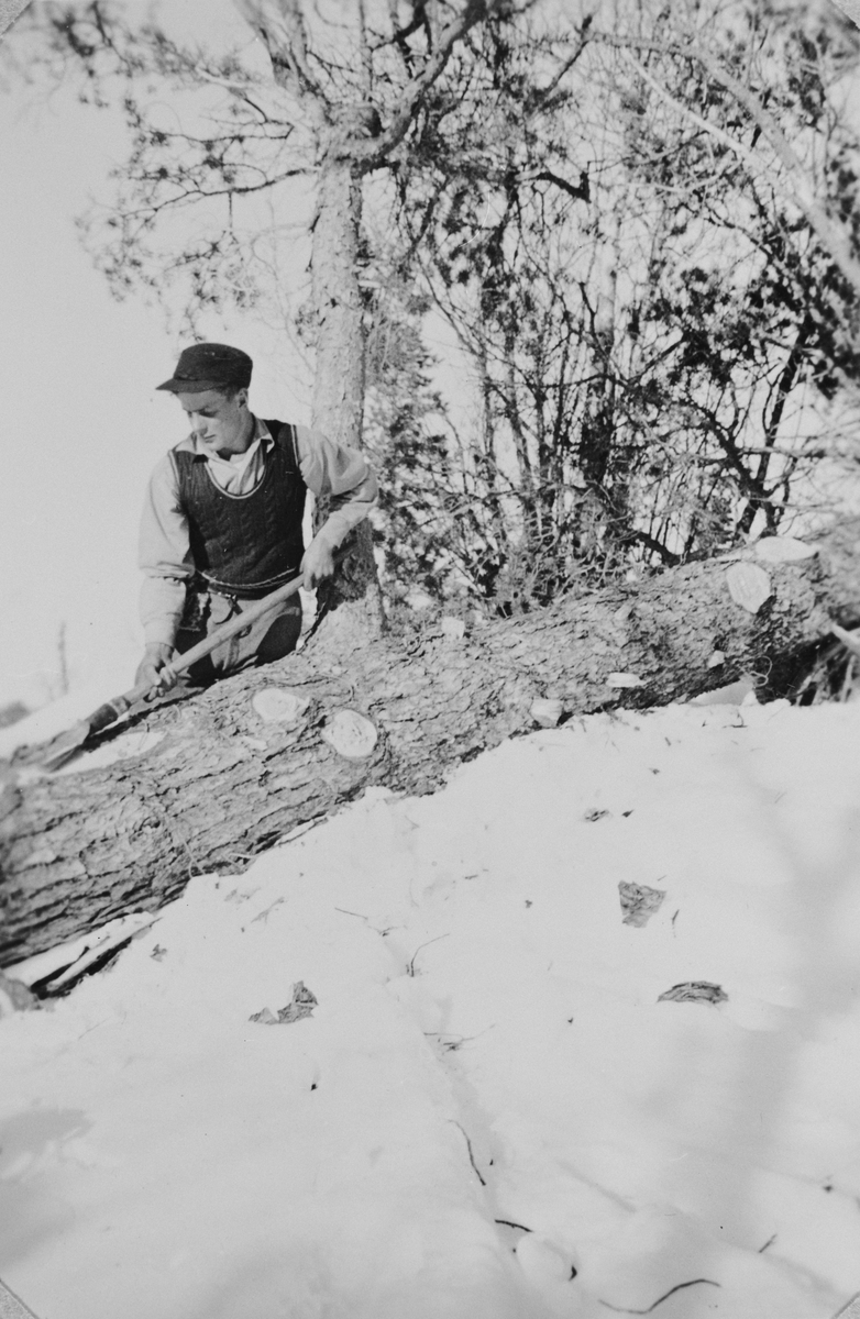 Skogsarbeider baker tømmer med barkespade ved Håsjøen, Røros